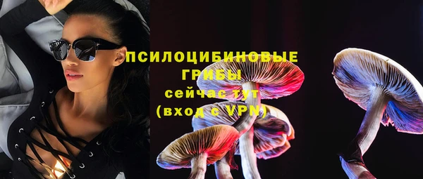 мяу мяу кристалл Ельня