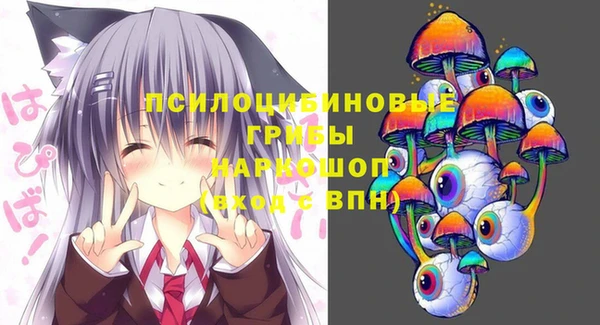 мет Елизово