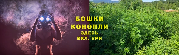 мет Елизово