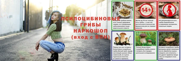 мет Елизово