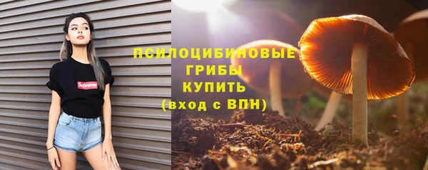 мяу мяу кристалл Ельня